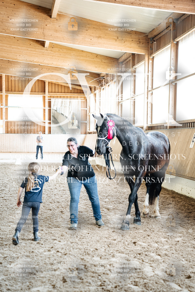 CK703267 | Turnierfotografie Pferdefotografie Trier Rheinland-Pfalz Pferdesport Reitsport Tierfotografie Sportfotografie Pferdevideo Pferdevideografie Equestrianvideography equestrianphotography  - Realized with Pictrs.com
