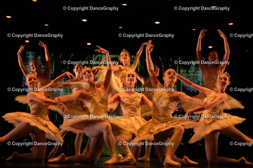 GPHY5302 | DanceGraphy - Realisiert mit Pictrs.com