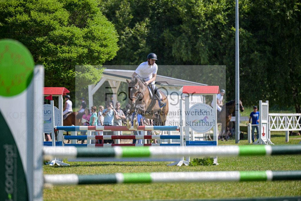 Reitturnier Voxtrup | Entdecke hochwertige Reitturnierfotos von Foto Oger. Professionell, emotional und authentisch – jetzt Lieblingsmomente im Shop bestellen.Deutschlandweite Turnierfotografie. - Realisiert mit Pictrs.com