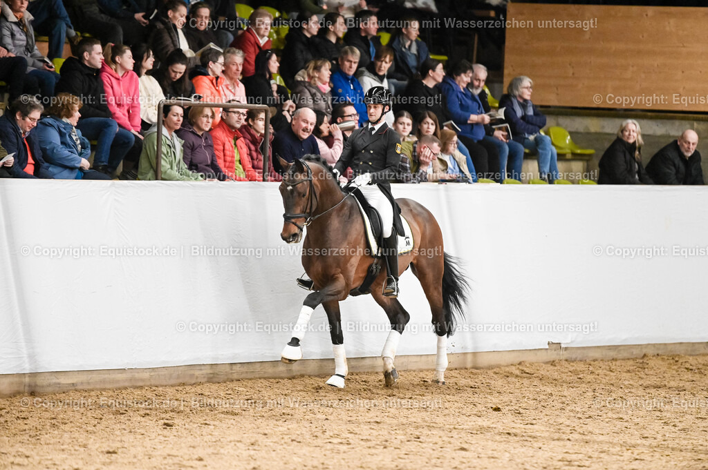 20260307_Hengstvorstellung-Marbach_0376 | equistock