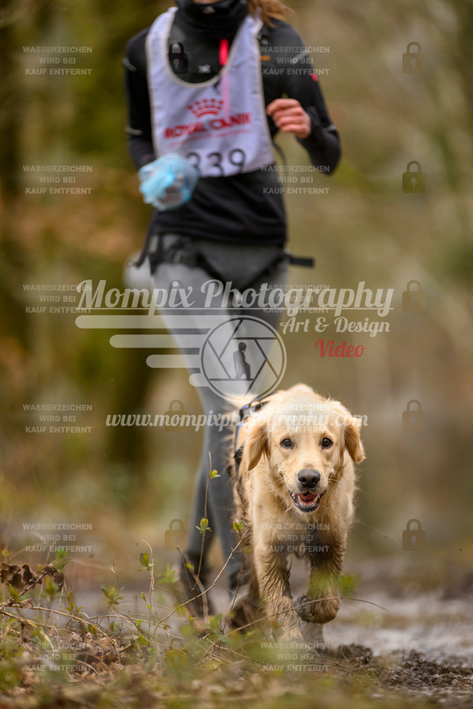 MompixPhotography_CDSM24_SA_CCS-219 | PayLife