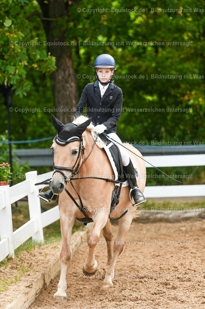 20230716_10-2_Reiter-WB Schritt - Trab - Galopp_0053 | equistock