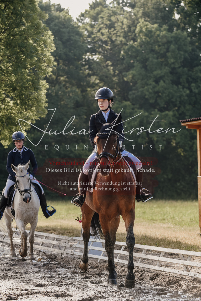 DSC_7910 | Pferde- und Turnierfotografie in Westsachsen. Pferdeportraits, Auftragszeichnungen und intuitive Kunst.