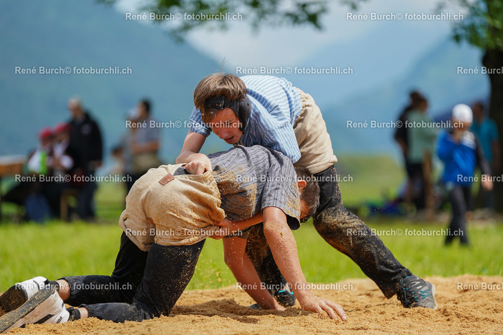 20220606-DSC09799 (2) | René Burch leidenschaftlicher Fotograf aus Kerns in Obwalden.  Hier finden sie Sport, Landschaft und Natur Fotografie.
 - Realisiert mit Pictrs.com
