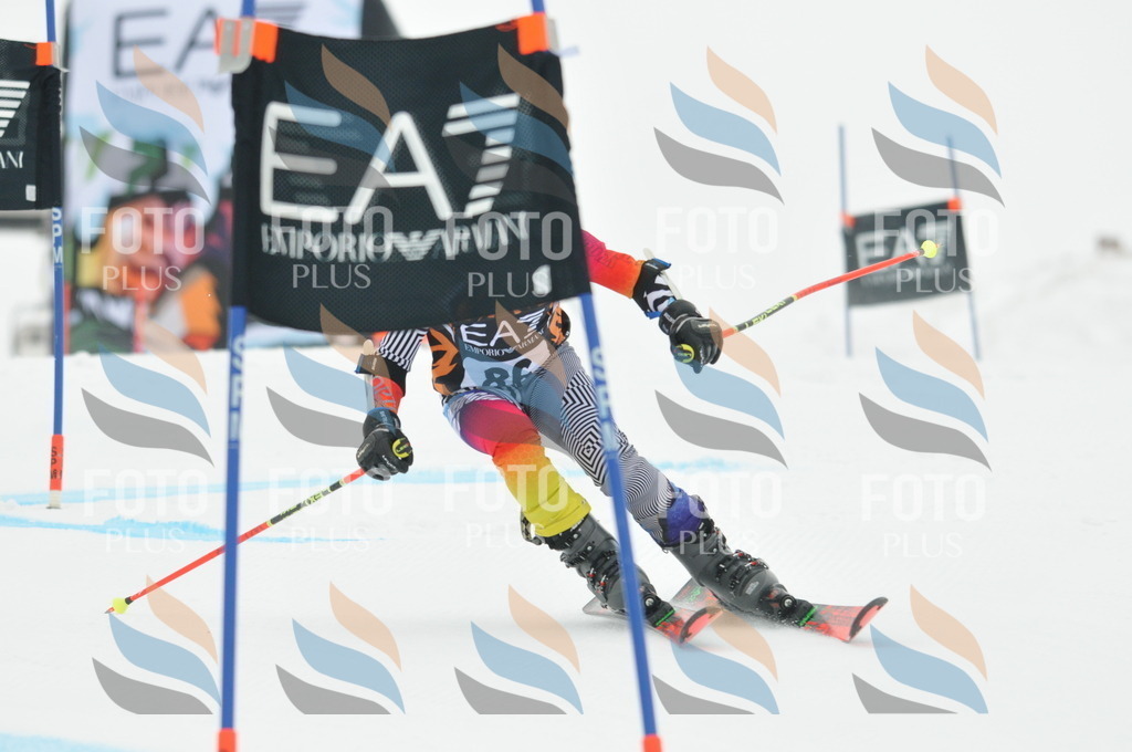 DSC_7949 | holidayphoto