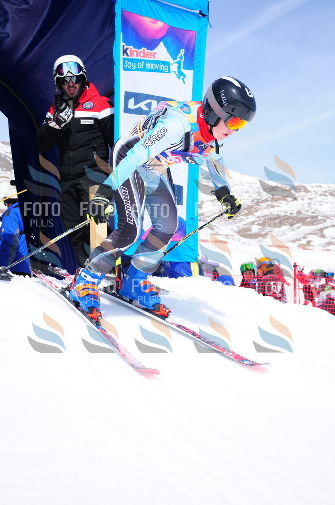 DSC_7203 | holidayphoto