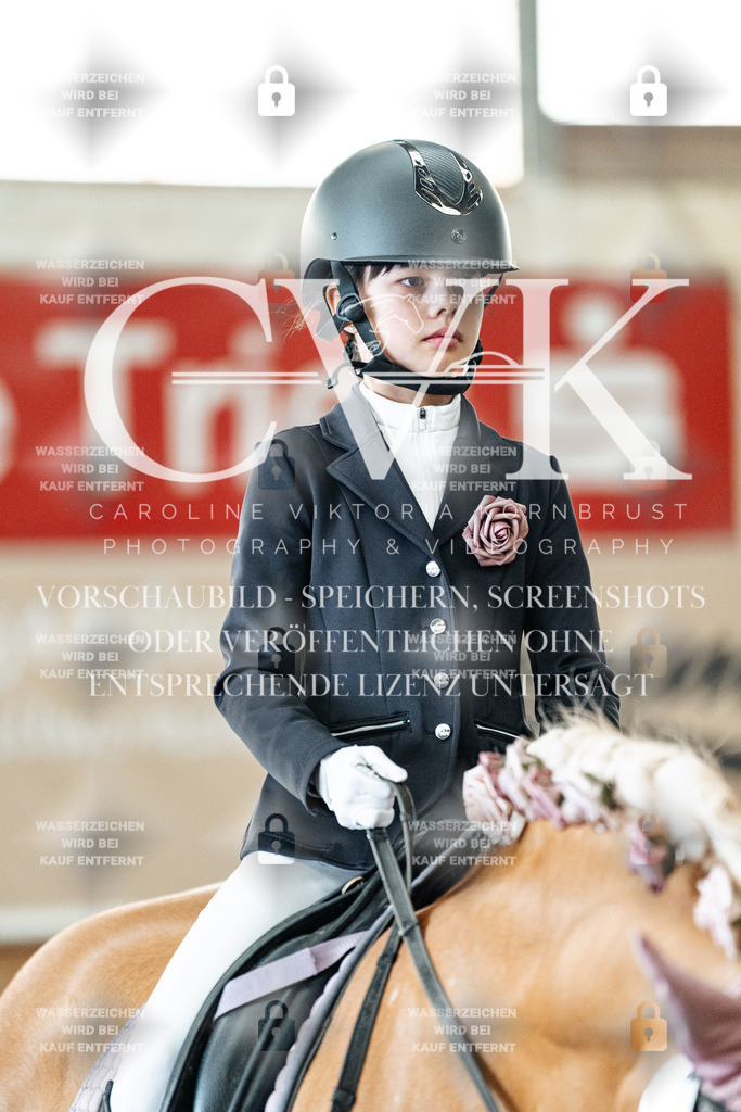 CK905675 | Turnierfotografie Pferdefotografie Trier Rheinland-Pfalz Pferdesport Reitsport Tierfotografie Sportfotografie Pferdevideo Pferdevideografie Equestrianvideography equestrianphotography  - Realized with Pictrs.com