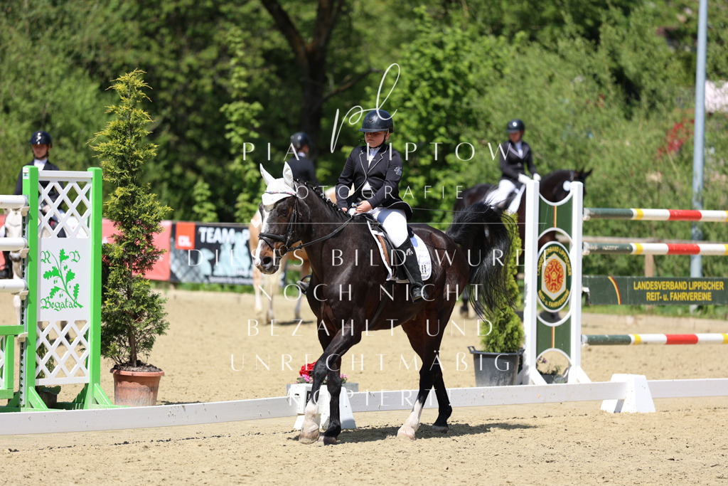 IMGS2645 | pl-fotografie