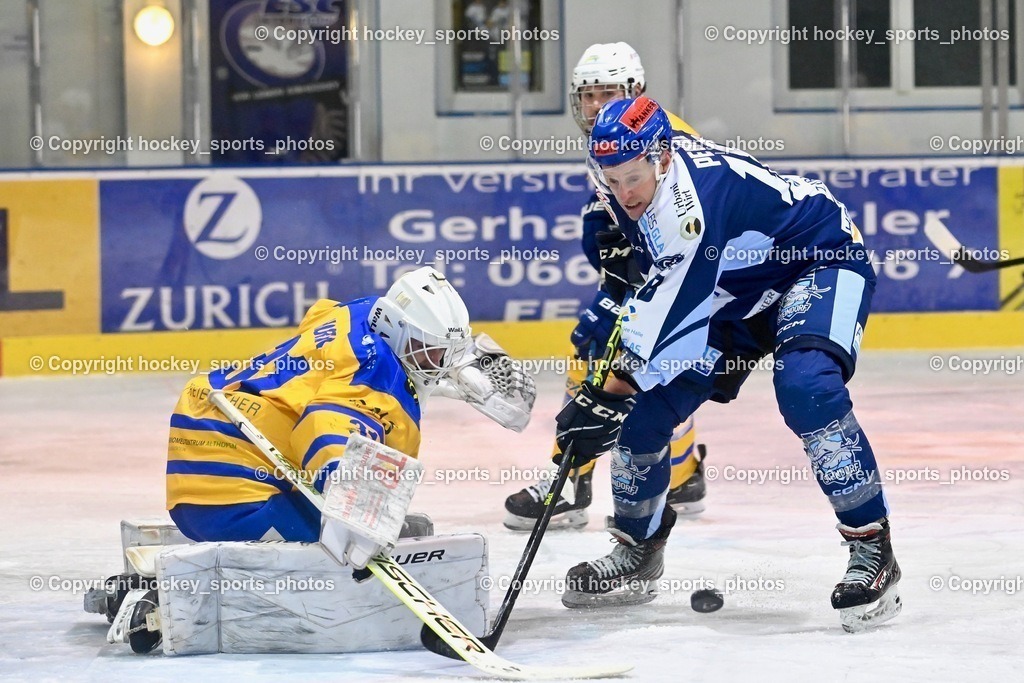 ESC Steindorf vs. EHC Althofen 13.1.2024 | #31 Horn Fabian, #18 Pewal Martin, #65 Lungkofler Gerald
