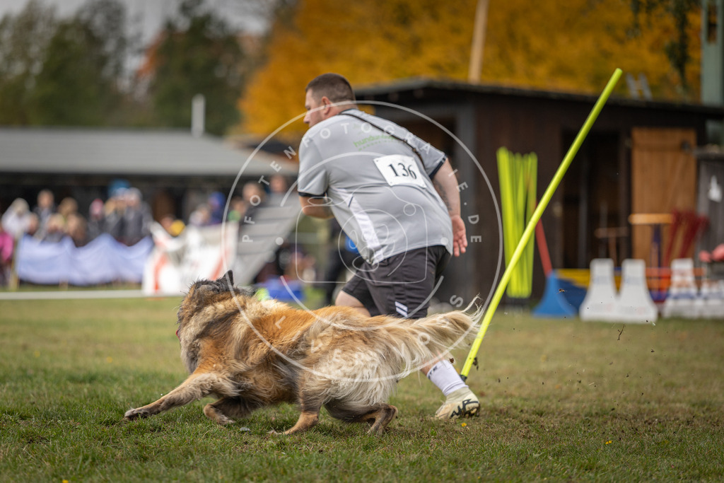 Pfotenfotografie_DV3A7982 | Hundefotografie, Tierfotograf, Pfotenfotografie, Fotoshooting Hund, Hunde Portrait, Hundesport, Hundeportraits, Heideshooting, Hunde, Sportfotograf, Hundefotograf, Turnierhundsport, THS,  - Realisiert mit Pictrs.com