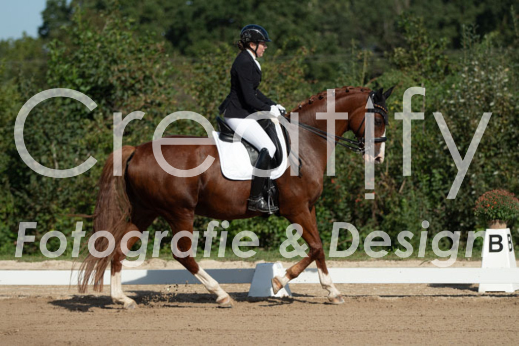 IMG_0218 | Creatify Fotografie