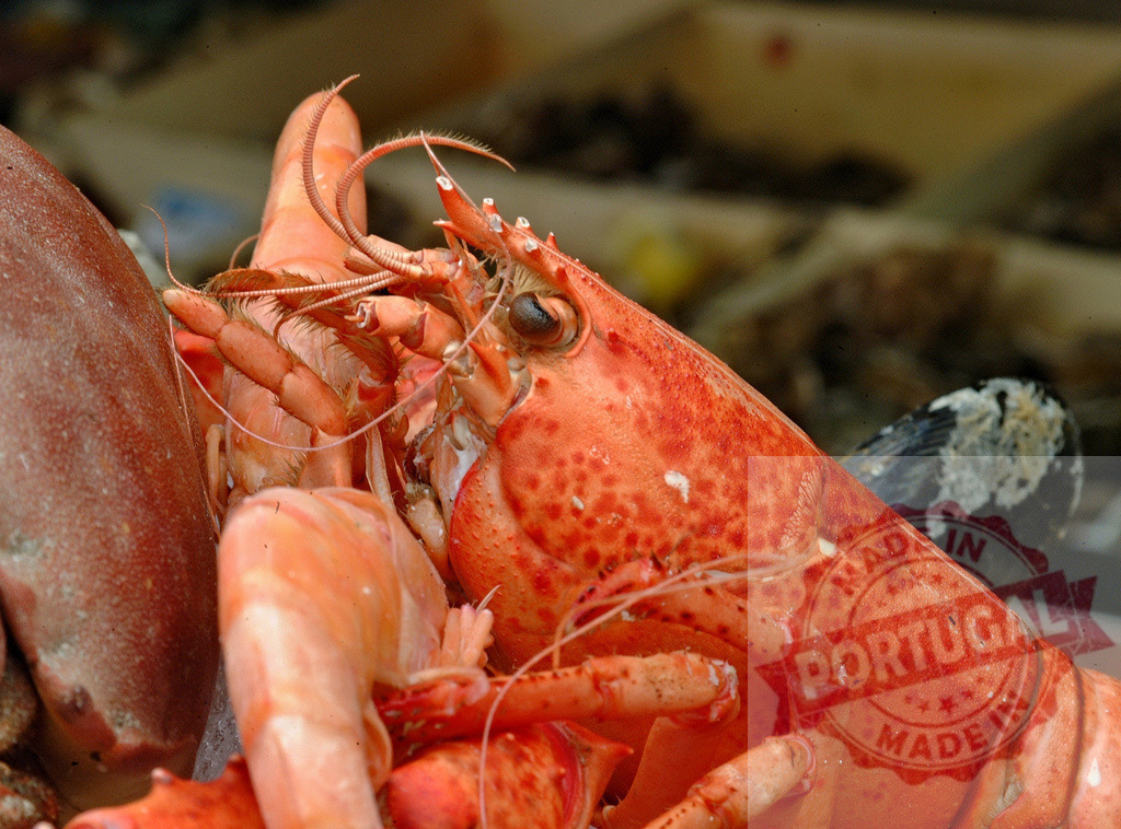 Cooked red lobster head and body at seafood market | Cooked red lobster and other seafood displaying on a market stall - Realized with Pictrs.com