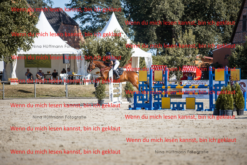BK1A7331 | Turnierbilder Turnierfotos Nina Hüffmann Turnierfotografie Pferdefotografie Tierzeichnung Haustierzeichnung Pferdezeichnung Hundezeichnung Videograf  - Realisiert mit Pictrs.com