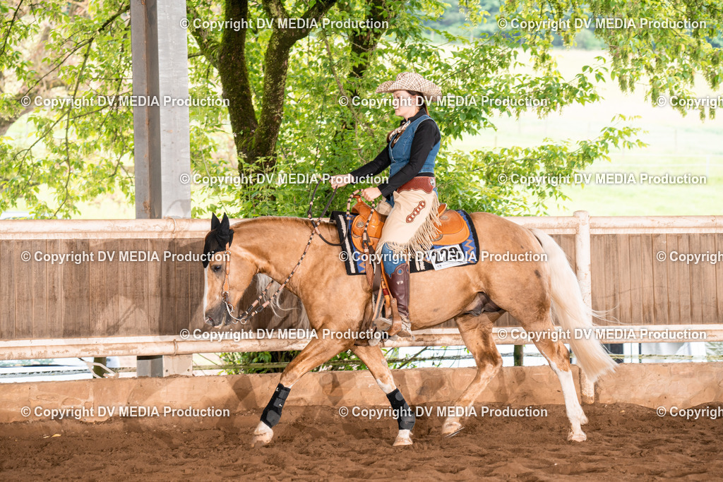 Erbach Tag 4-626 | dv-media-shop - Realisiert mit Pictrs.com