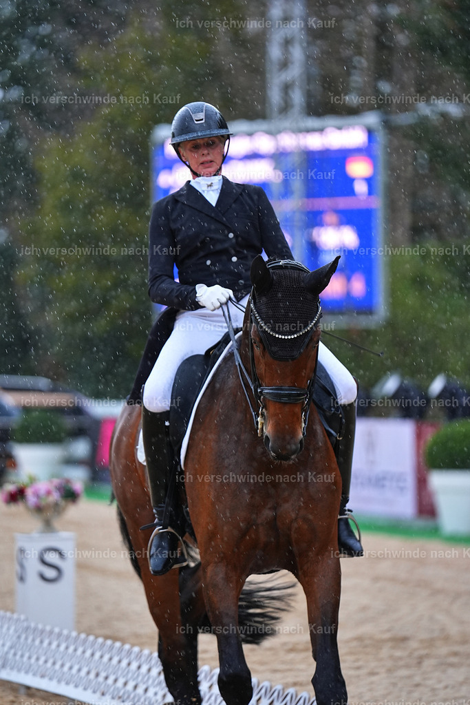 8_1-020-Klasse S_  -Marixx-4347 | working equitationturnier fotograf videograf stoibphotography marixx film working equitation deutschland reitsport turnierfotografie eventfotografie equestrian events