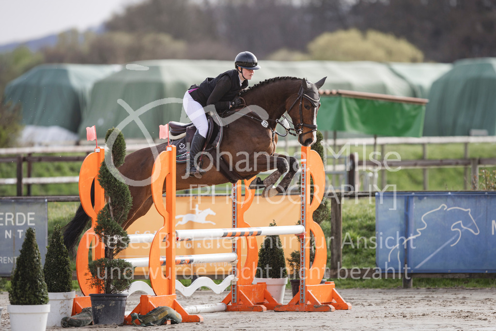 240330_Fruehlingsfest_Amateur-SprPf-A-203 | Deine schönsten Turniermomente als professionelle Fotos! Entdecke hochwertige Pferdesport-Fotografie im Online-Shop. Jetzt Fotos finden & bestellen!