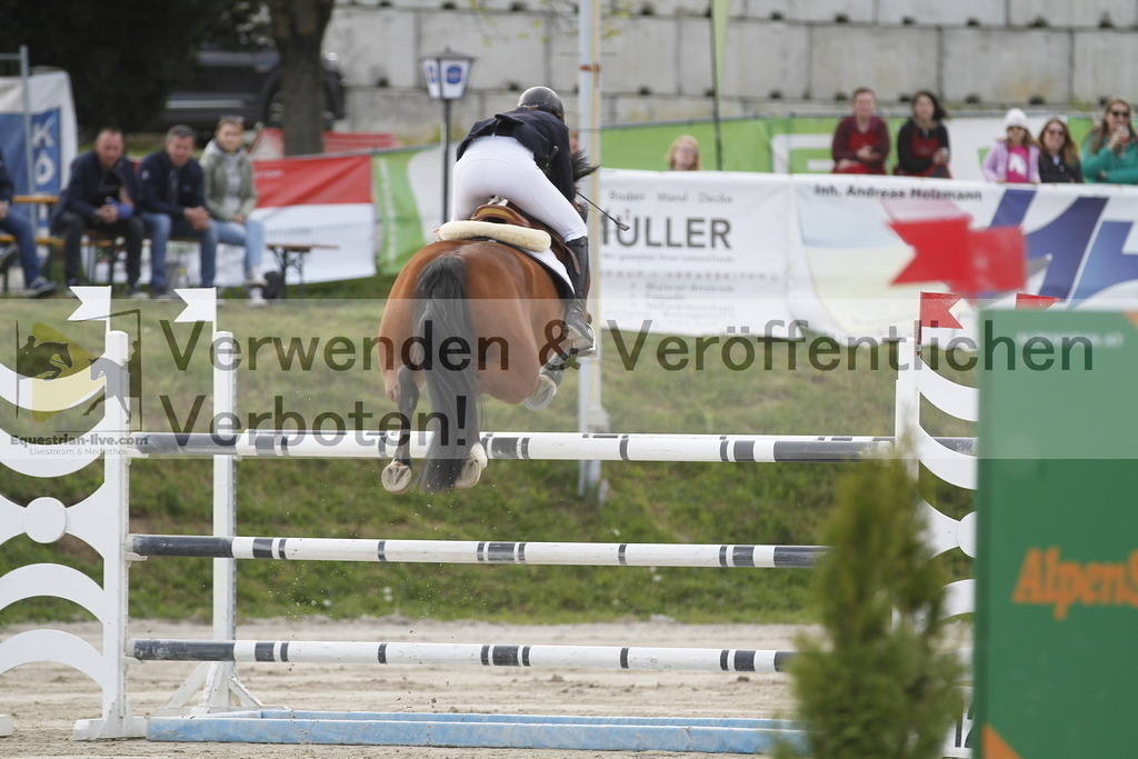 _MG_1121 | equestrian-live-com