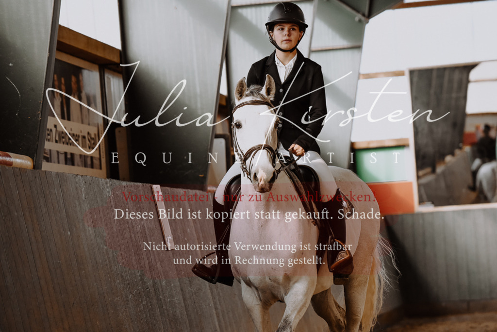 DSC_7417 | Pferde- und Turnierfotografie in Westsachsen. Pferdeportraits, Auftragszeichnungen und intuitive Kunst.