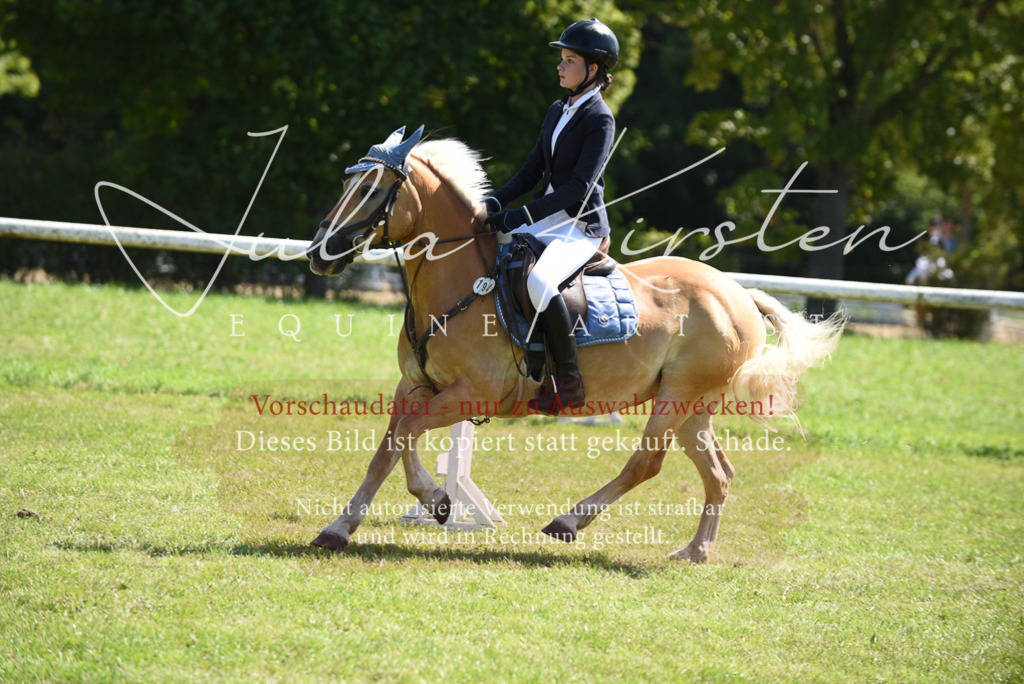DSC_9626 | Pferde- und Turnierfotografie in Westsachsen. Pferdeportraits, Auftragszeichnungen und intuitive Kunst.