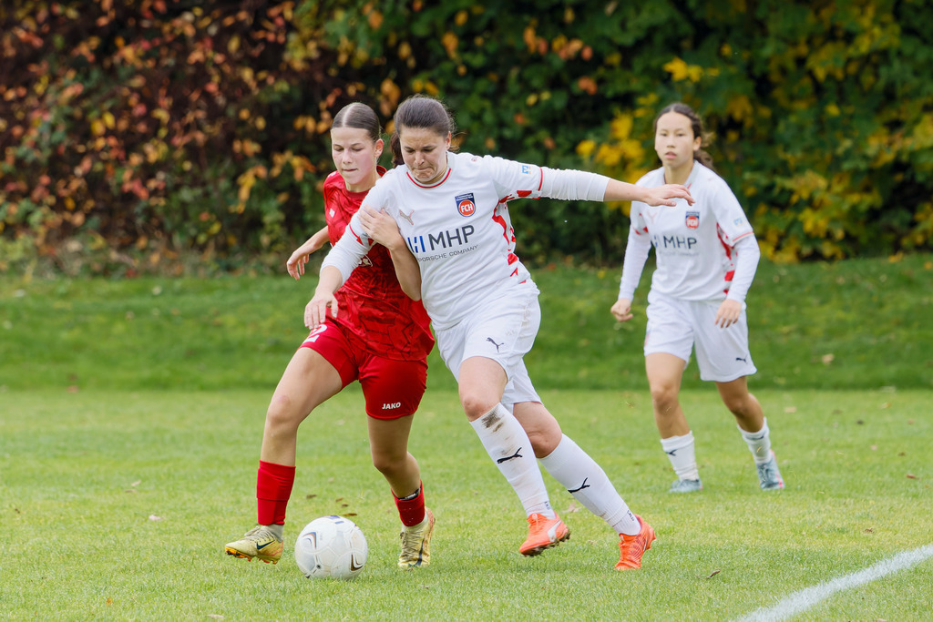 FCEFCH_251012_1671 | Fotopresso – Sportfotografie in Heidenheim & Umgebung. Professionelle Sportfotografie für unvergessliche Momente. Dynamische Action-Shots, emotionale Szenen & hochwertige Bilder. - Realisiert mit Pictrs.com