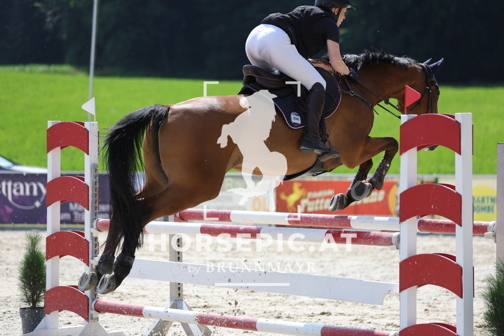 0P6A0395 | Willkommen bei Brunnmayr - Design & Fotografie – Ihrem Spezialisten für Reitturniere und Pferdeveranstaltungen in Oberösterreich, Salzburg und Bayern! Seit über 17 Jahren sind wir leidenschaftlich dabei.