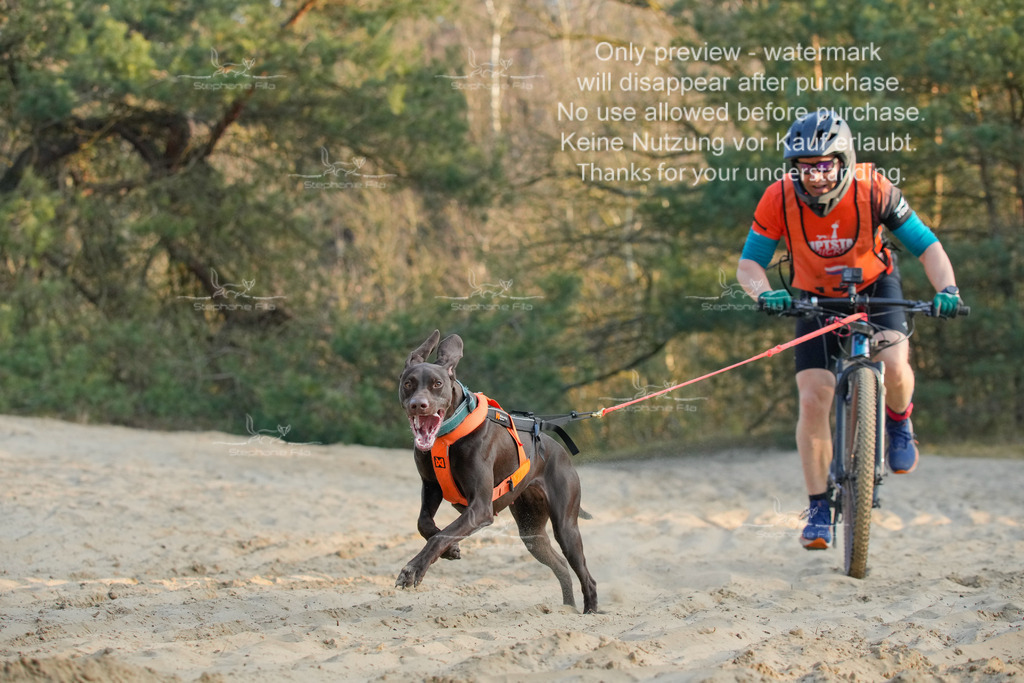 So_Bike-411 | stephaniefillaphotographie - Realisiert mit Pictrs.com