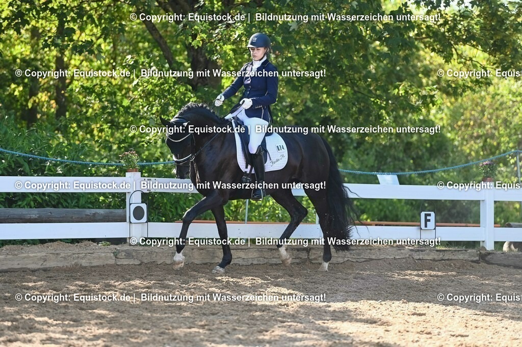 20230715_06_Dressurpferdeprfg. Kl.A_0256 | equistock