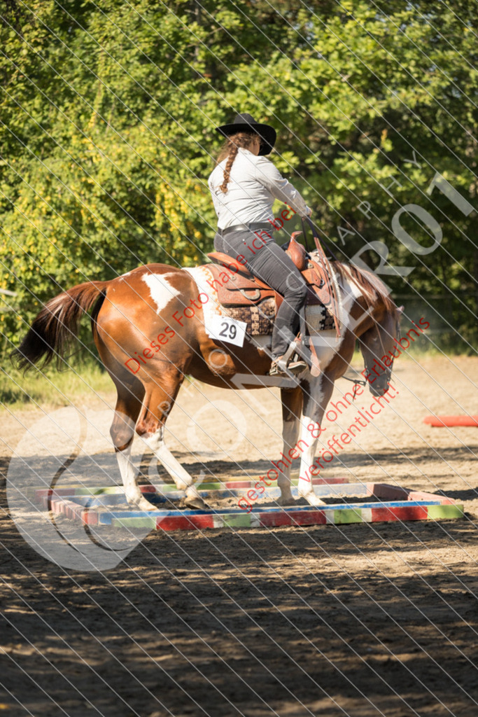 IMG_7446 | Sport-, Event- und Tierfotos in Profiqualität. Einfach auswählen, bestellen und herunterladen. Dein Moment – perfekt festgehalten.