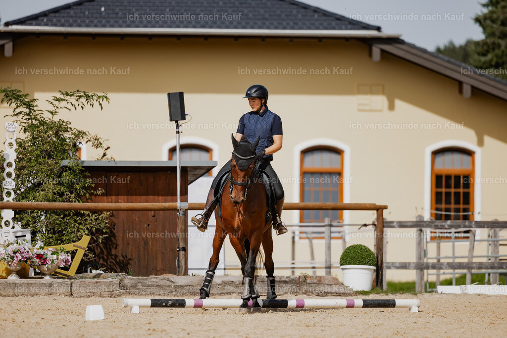 Nadine22_FHC2025-117 | working equitationturnier fotograf videograf stoibphotography marixx film working equitation deutschland reitsport turnierfotografie eventfotografie equestrian events