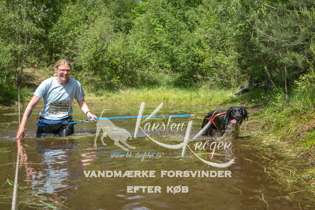 1306DKK993974 | kk-dogfotos