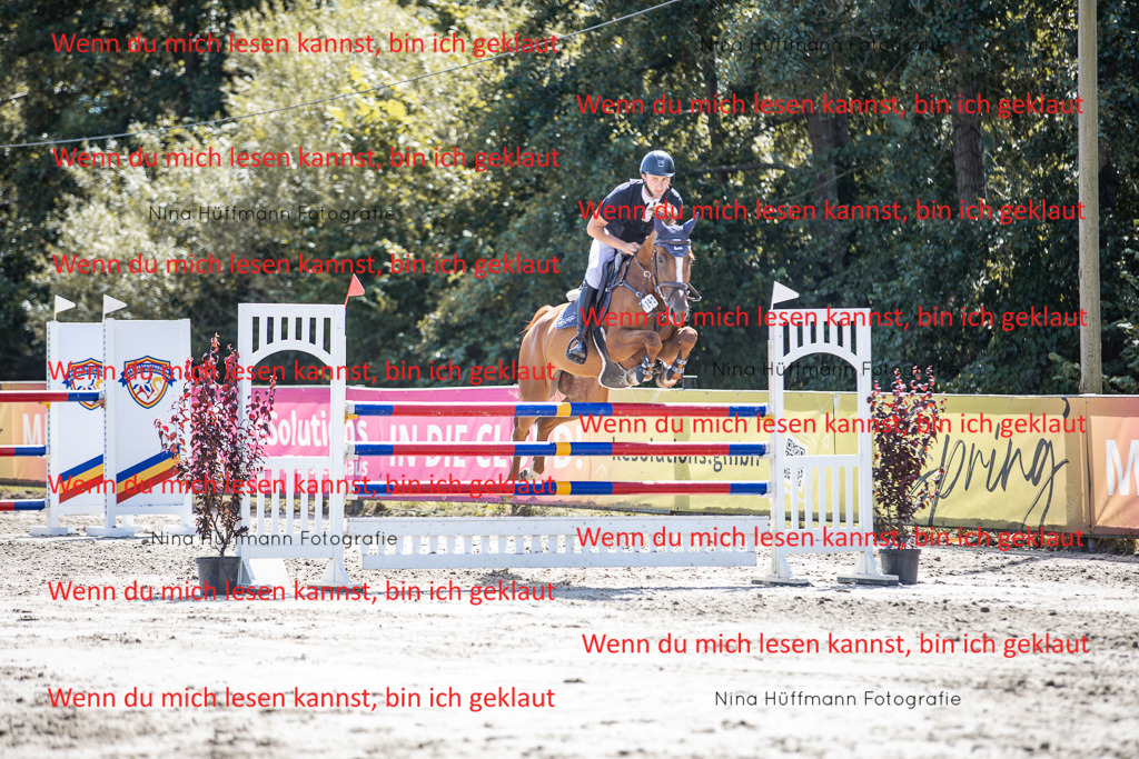 BK1A6487 | Turnierbilder Turnierfotos Nina Hüffmann Turnierfotografie Pferdefotografie Tierzeichnung Haustierzeichnung Pferdezeichnung Hundezeichnung Videograf  - Realisiert mit Pictrs.com