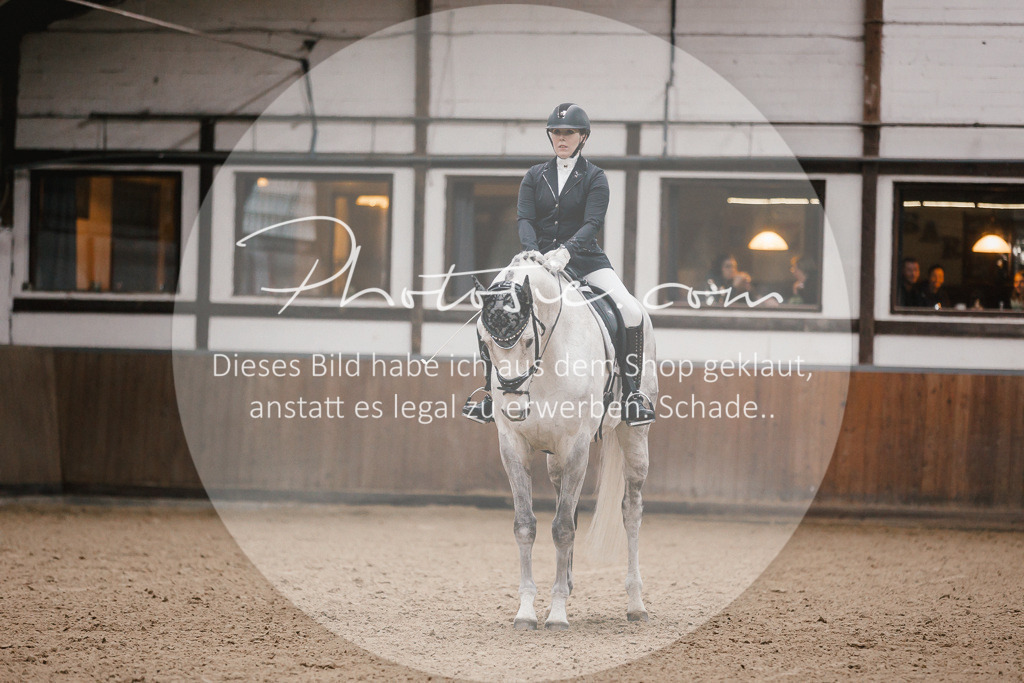 3I6A6112 | Stimmungsvolle Portraits und Reitsportfotografie im Ruhrgebiet und im Münsterland.

Pferdefotografie, Hundefotografie, Tierfotografie, Reportagen, Portraits von Tier und Mensch, Turnierfotografie in Bochum, Recklinghausen, Marl, Haltern am See, Dülmen.. - Realisiert mit Pictrs.com