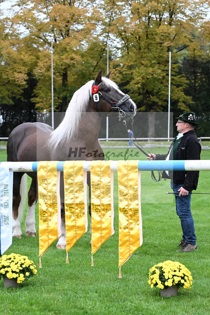 Impressionen_Schaerpen_41250116 | hf-fotografie - Realizzato con Pictrs.com