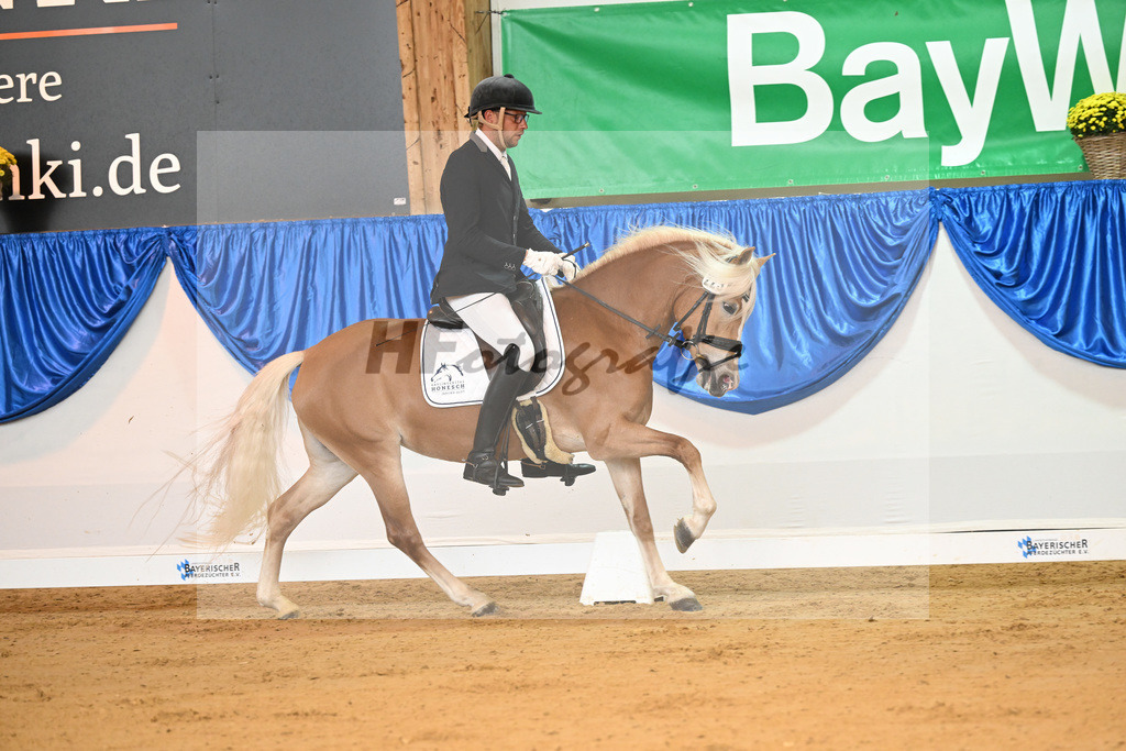 Kat-Nr. 223 Lizt van de Honesch_ZG Slot_54221638 | hf-fotografie - Realisiert mit Pictrs.com