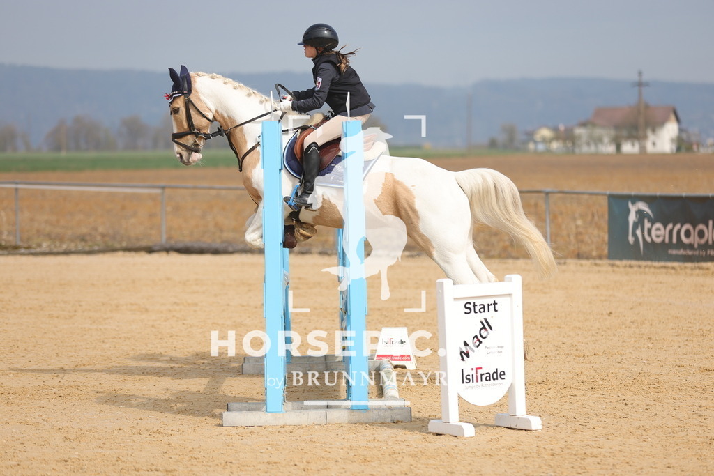 0P6A9211 | Willkommen bei Brunnmayr - Design & Fotografie – Ihrem Spezialisten für Reitturniere und Pferdeveranstaltungen in Oberösterreich, Salzburg und Bayern! Seit über 17 Jahren sind wir leidenschaftlich dabei.