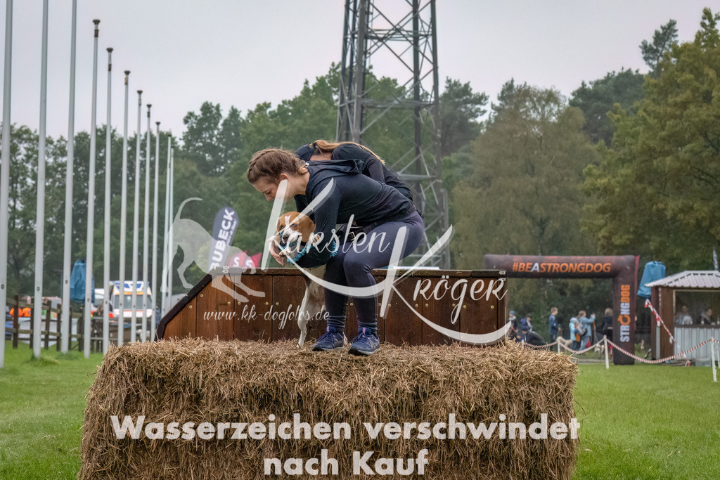 1229--7 | kk-dogfotos