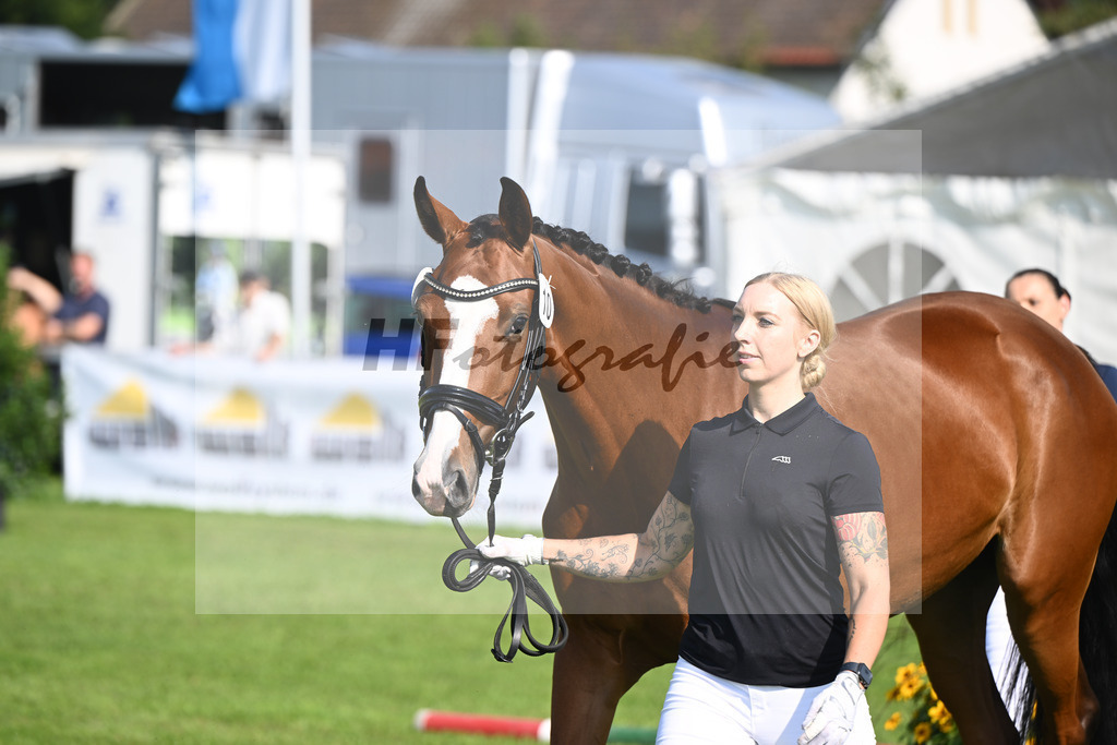 Kat-Nr. 10 Lissaros Confess Color_Schachinger_34240163 | hf-fotografie - Realisiert mit Pictrs.com