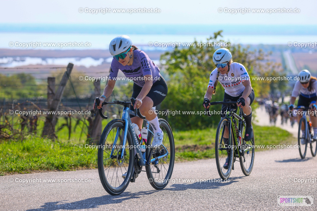 TRA_0254 | Neusiedlersee Radmarathon 2026@sportshot_your_pictrs #yourpictures#roadtowm2029 #nrm #neusiedlerseeradmarathon #neusiedlersee #neusiedlerseetourismus #burgenland #mörbisch #nrm26 #burgenlandtourismus #voglundco #poweredbyburgenlandtourismus #radsport #rad #marathon #ucigranfondo #visitburgenland #ucigranfondoworldseries