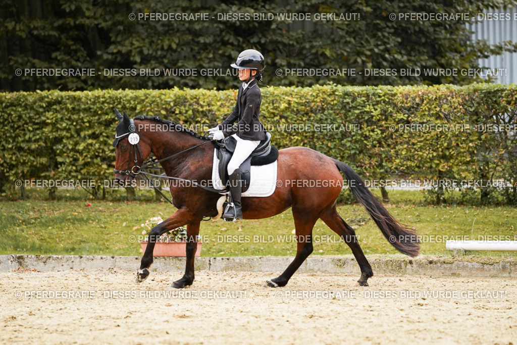 DSC00548 | Pferdegrafie