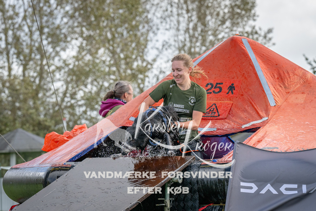 1222-93502 | kk-dogfotos