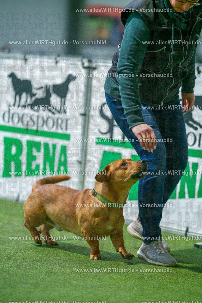 7R507144 | Professionelle Tierfotografie in Mönchengladbach von Daniel Wirth (allesWIRTHgut). Liebevolle & natürliche Bilder von Hunden & Katzen für unvergessliche Erinnerungen.