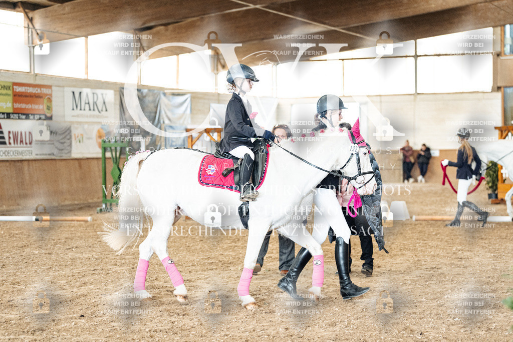 CK906128 | Turnierfotografie Pferdefotografie Trier Rheinland-Pfalz Pferdesport Reitsport Tierfotografie Sportfotografie Pferdevideo Pferdevideografie Equestrianvideography equestrianphotography  - Realized with Pictrs.com