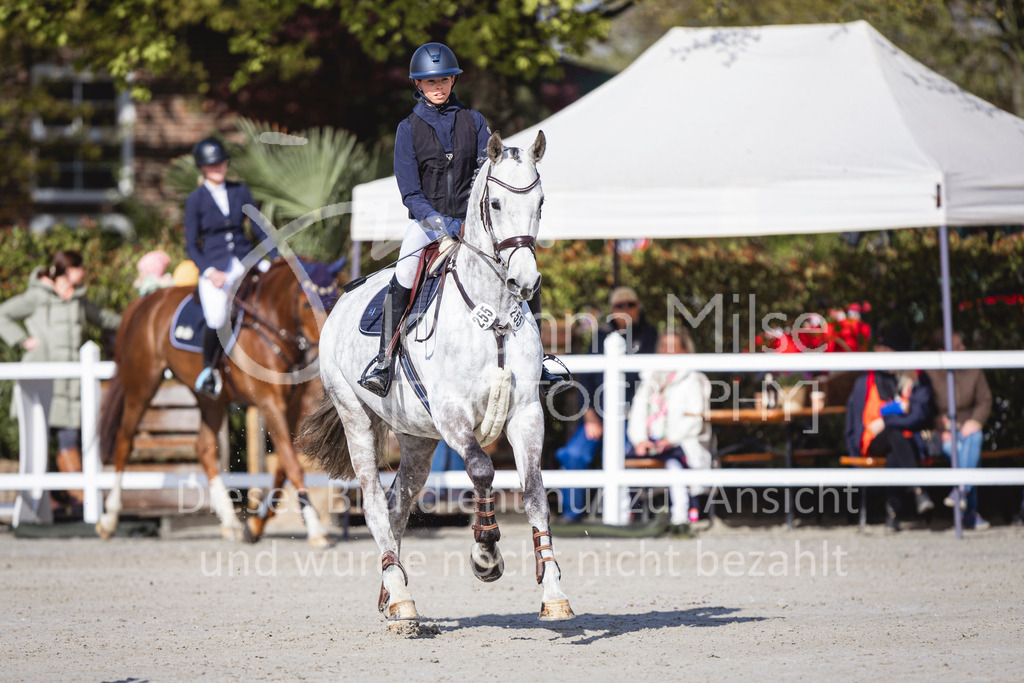 240424_Lemwerder_Stil-L-111 | Deine schönsten Turniermomente als professionelle Fotos! Entdecke hochwertige Pferdesport-Fotografie im Online-Shop. Jetzt Fotos finden & bestellen!