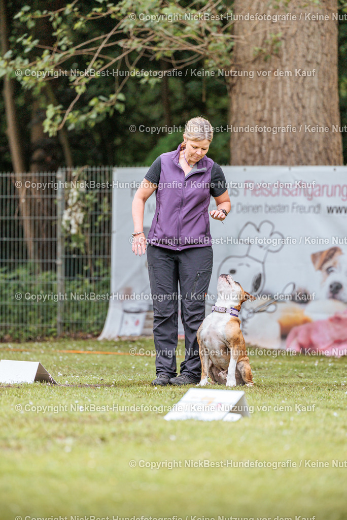 RO-Blumenthal-2026-Nickbest-Hundefotografie-1143 | Dein Hund! Dein Moment! Deine Erinnerungen! Hundefotografie in Bremen Blumenthal. Ich fange die besonderen Momente deines Vierbeiners ein – ob Indoor mit Blitzanlage oder in der freien Natur. Sicher dir dein Moment und dein Termin für eure Erinnerungen.