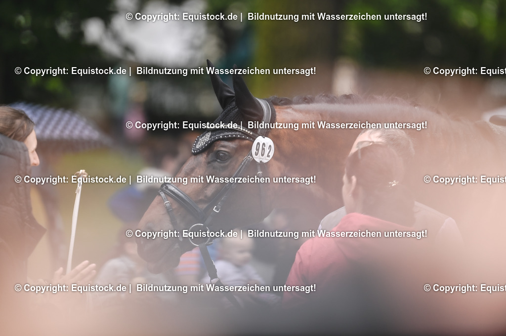 20240519_Voltige_0952 | Foto: Thomas Hartig