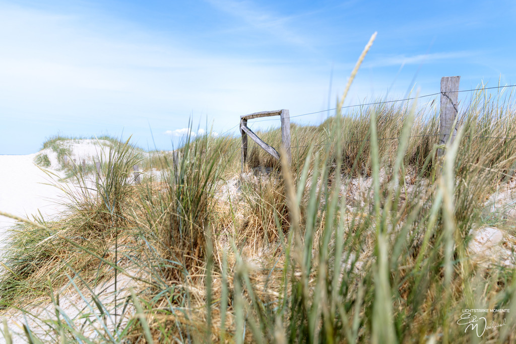 20230622-131233 NORDSEE SPO _041-1 | Herzlich willkommen auf meiner Seite! Ich bin Elke Wallnisch, Deine Fotografin für lichtstarke Momente. Der Name steht für alles, was mich mit der Fotografie verbindet: Das Licht und seine machtvolle Wirkung auf eine Situation oder unsere Stimmung - Realisiert mit Pictrs.com