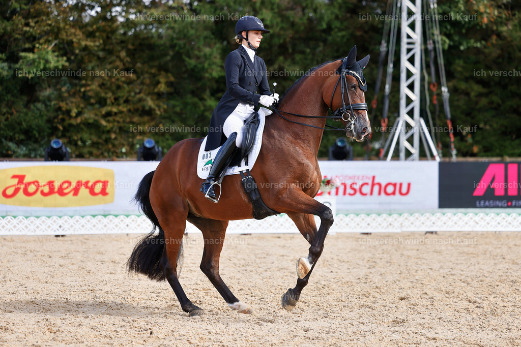 07-003-DRESSUR  S___  -StoibPH-5074 | working equitationturnier fotograf videograf stoibphotography marixx film working equitation deutschland reitsport turnierfotografie eventfotografie equestrian events