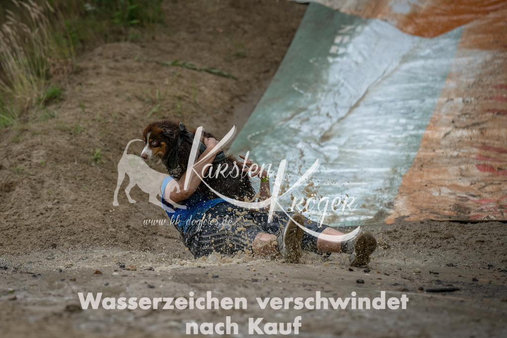 1655_ZZ91315-Bearbeitet | kk-dogfotos