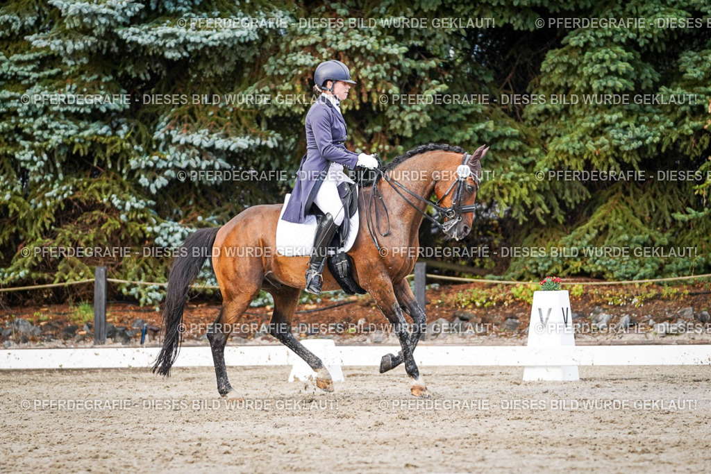 DSC00302 | Pferdegrafie