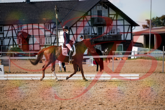 2026_10_03_Siefer-Hof_132902_Z63_90941146 | Professionelle Reitsport-, Turnier- und Eventfotografie von Robert Broda. Galerien mit ausgewählten und bearbeiteten Bildern direkt online ansehen und bestellen.